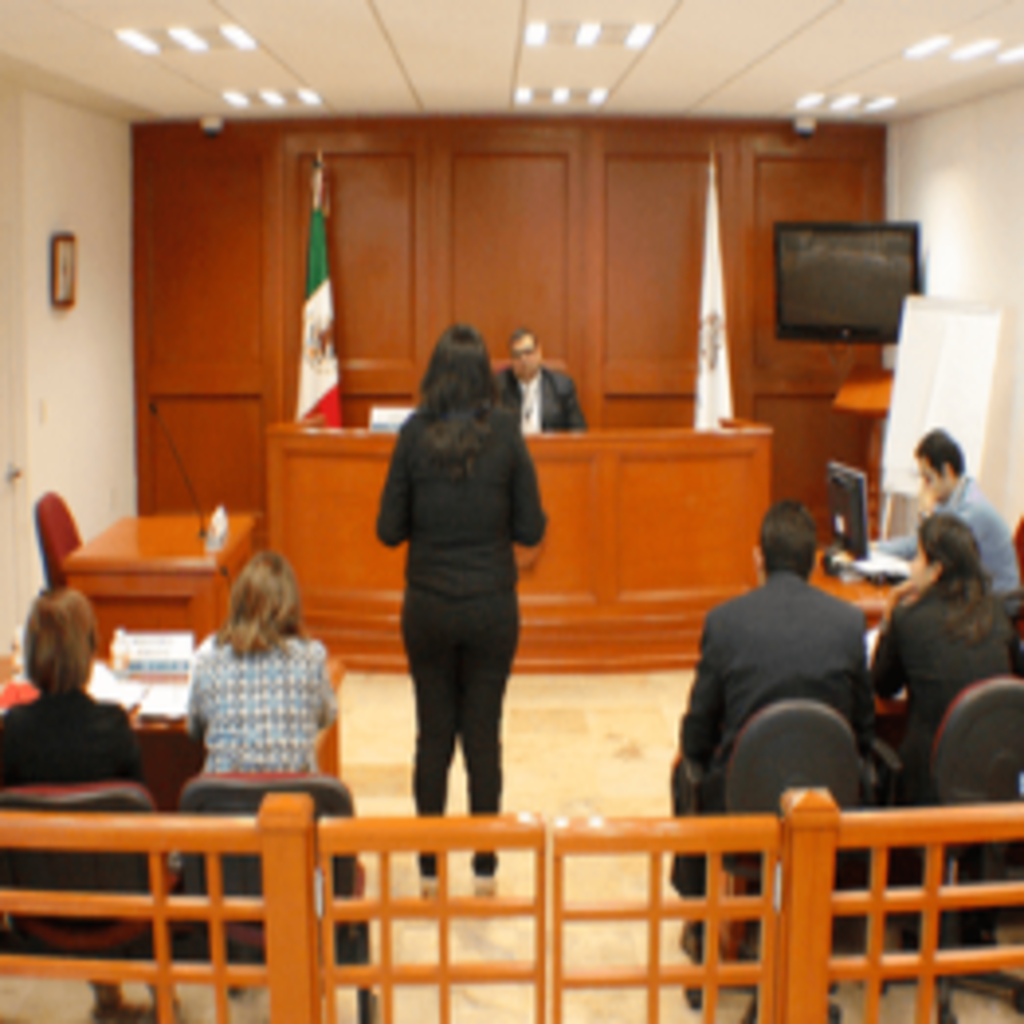 15. Curso Juicio Oral Mercantil