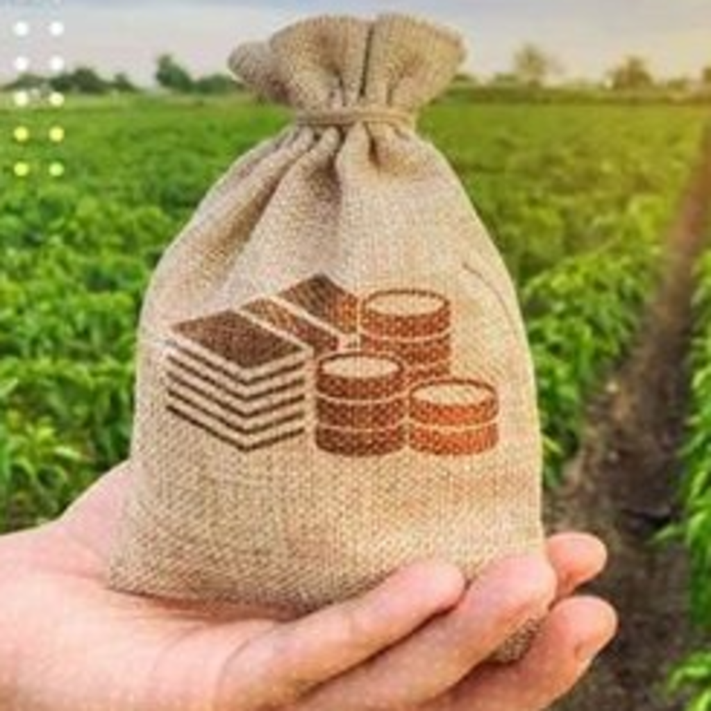 112. Curso Práctico en Derecho Agrario